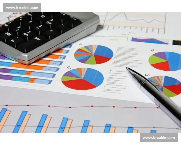 以概率分析为核心的复杂系统决策与风险评估研究新视角方法探索与实践路径